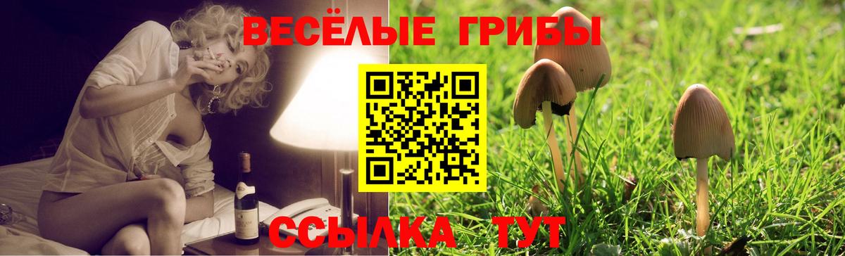 Галлюциногенные грибы GOLDEN TEACHER Кудымкар